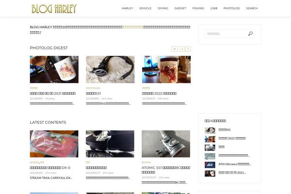 Vlog theme site design template sample