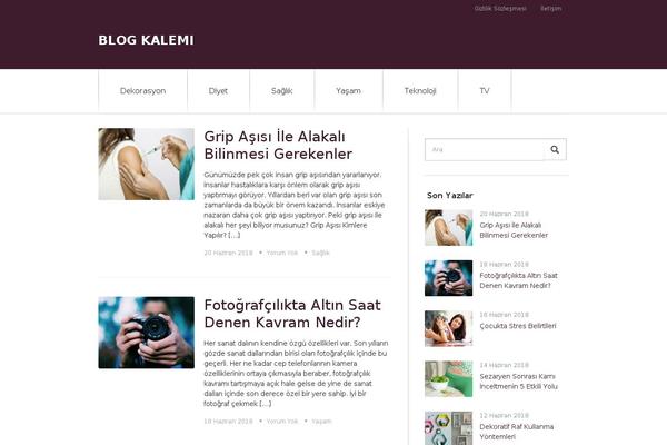 Startingup theme site design template sample