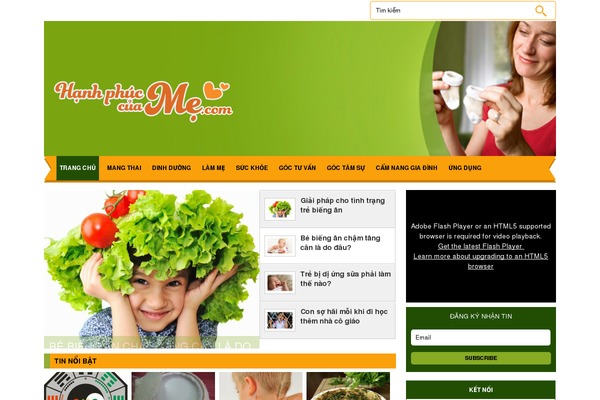 bloglamme.com site used Hanhphuc