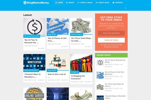 blogmakesmoney.com site used MagXP