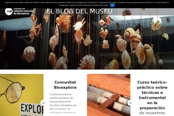Site using fw-vimeo-videowall plugin