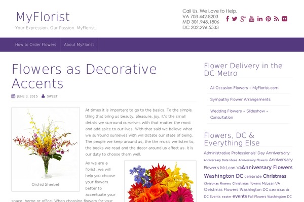 Unite theme site design template sample