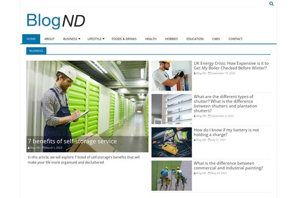 VioMag theme site design template sample