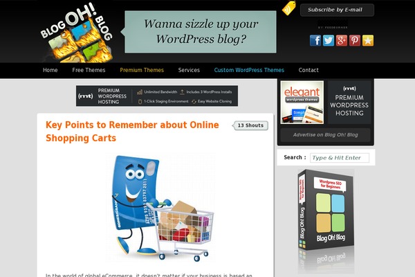 WordPress website example screenshot