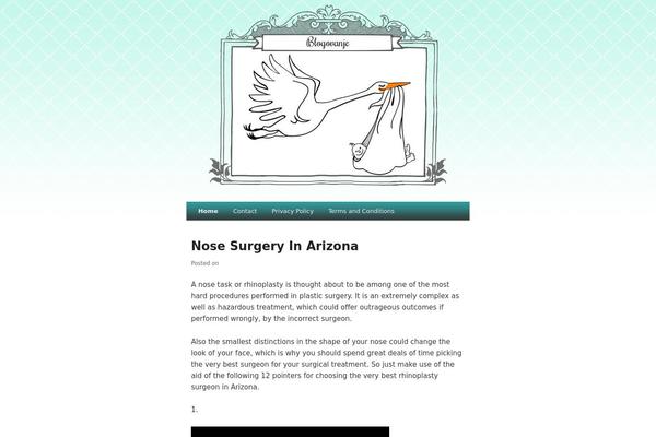 blogovanje.com site used Mybaby
