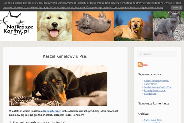 Influence theme site design template sample