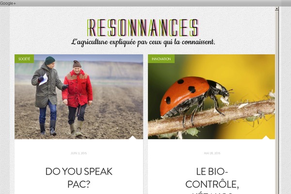 Mazine theme site design template sample