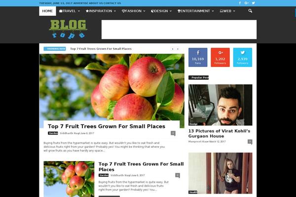 Site using Download Button Shortcode plugin
