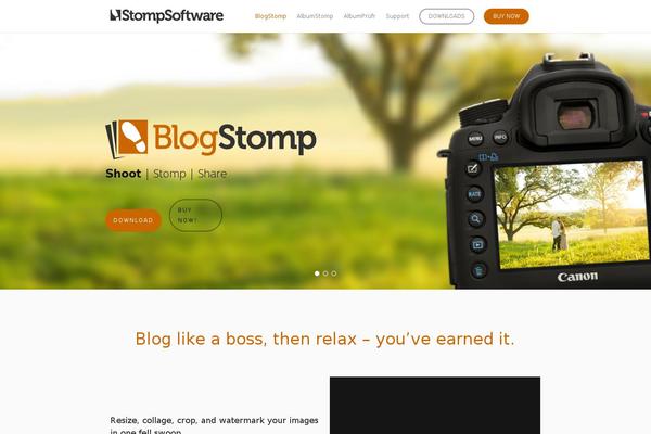 Salient Child theme site design template sample