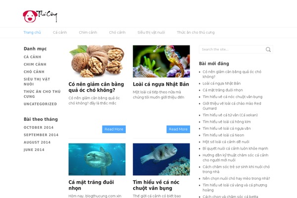 Split theme site design template sample