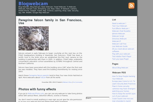 Prosense Grey theme site design template sample