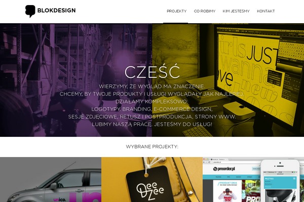 Baylie theme site design template sample