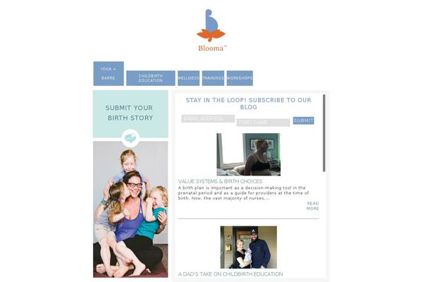 Site using Responsive Menu plugin