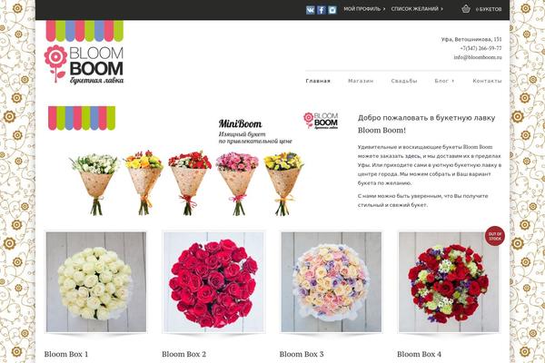Site using Robokassa plugin