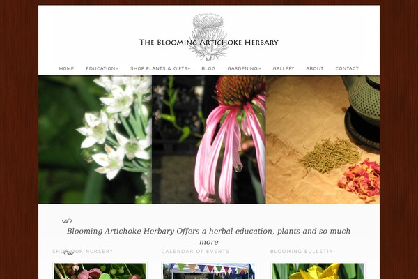 Dandelion theme site design template sample