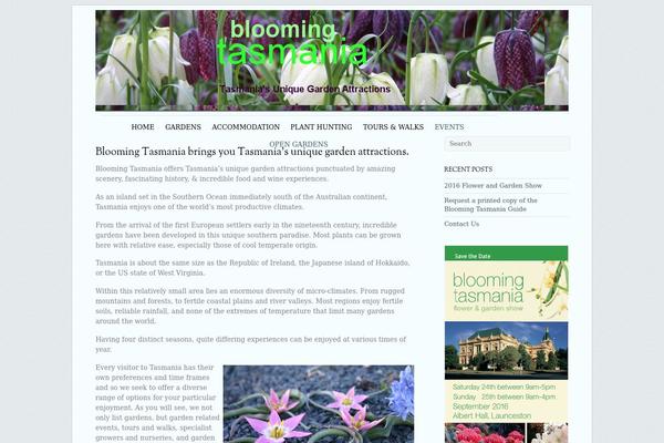Elemin theme site design template sample