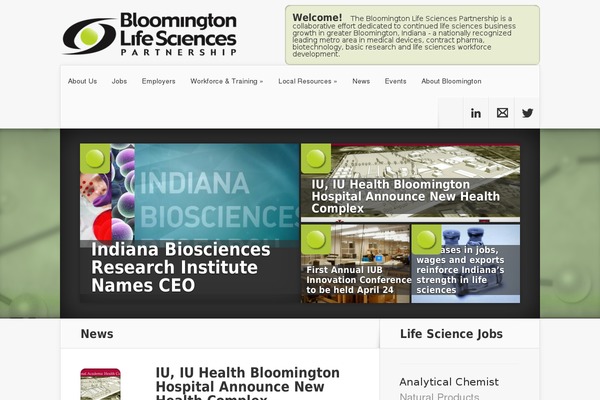 Nexus theme site design template sample