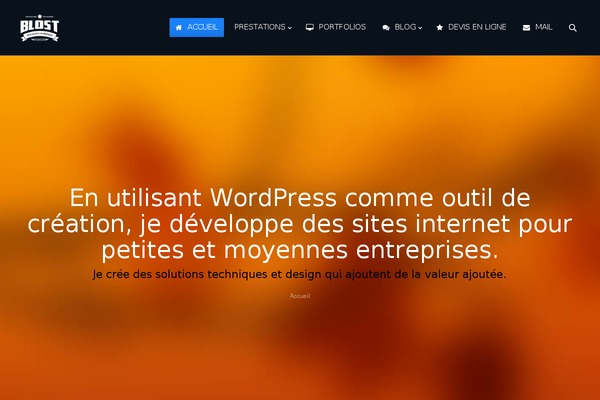 Site using All in One SEO Pack plugin