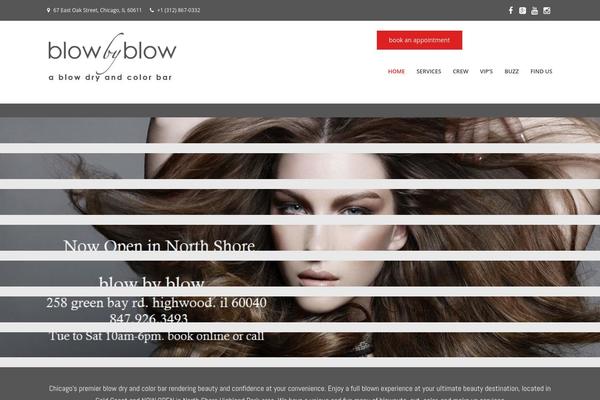 Richer theme site design template sample