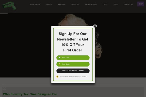 SiteOrigin North theme site design template sample
