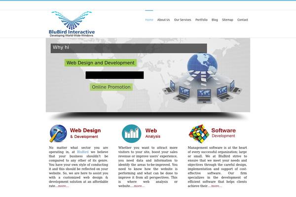 blubirdinteractive.com site used Blubird-site