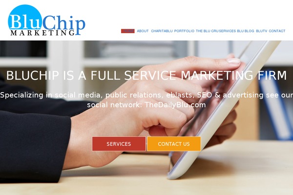 bluchipmarketing.net site used Biznex