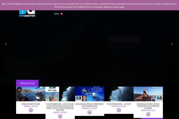 Site using Qtranslate-xt plugin