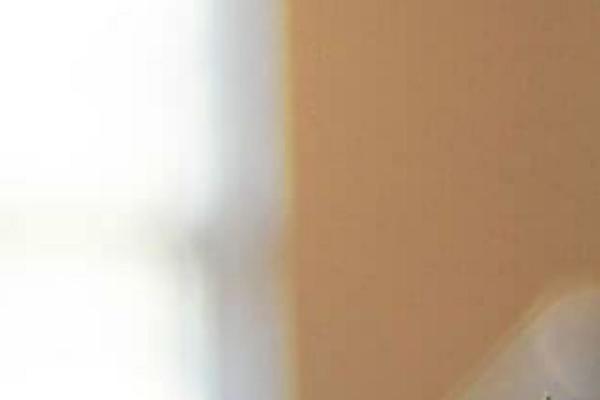 Nisarg theme site design template sample