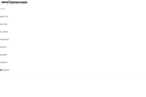 Brooklyn theme site design template sample