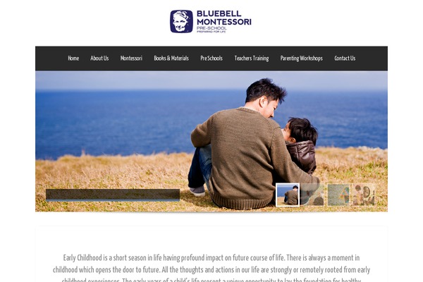 Theron Lite theme site design template sample