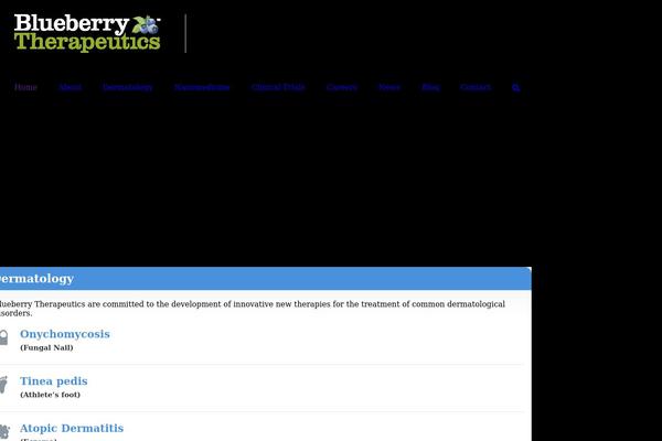 Avada Child Theme theme site design template sample