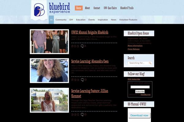 Bluebird theme site design template sample