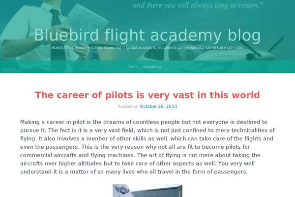 Bluebird theme site design template sample