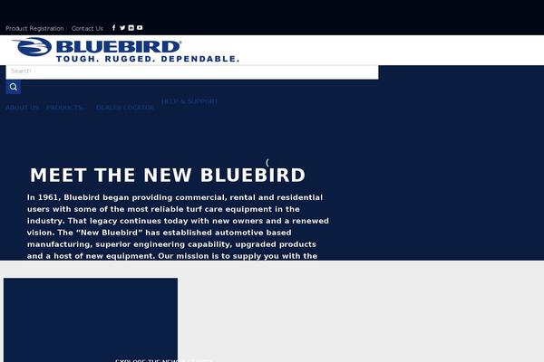 Bluebird theme site design template sample