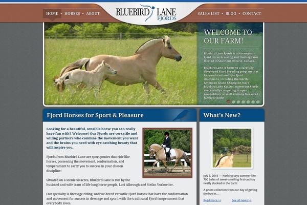 Bluebird theme site design template sample