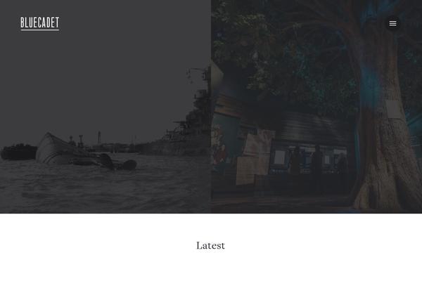 bluecadet.com site used Bluecadet-2018