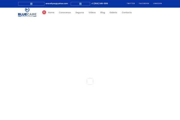 Site using Vizeon-themer plugin