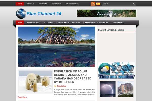 bluechannel24.com site used Indigo