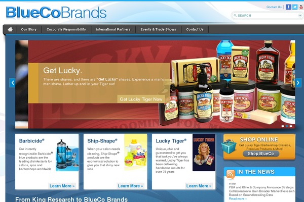 blueco theme websites examples