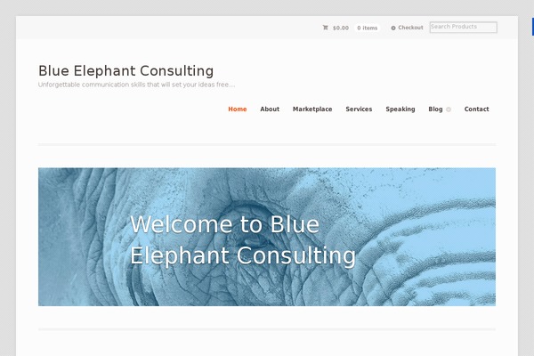 Layers-elementor theme site design template sample