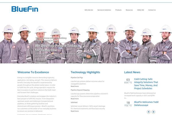 bluefingrp.com site used Envor