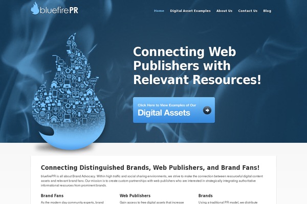 bluefirepr.com site used Thedeveloper