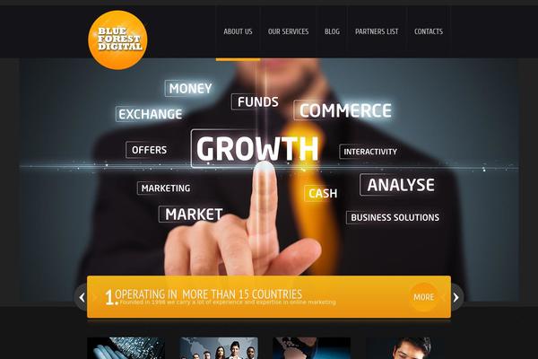 blueforestdigital.com site used Theme1582