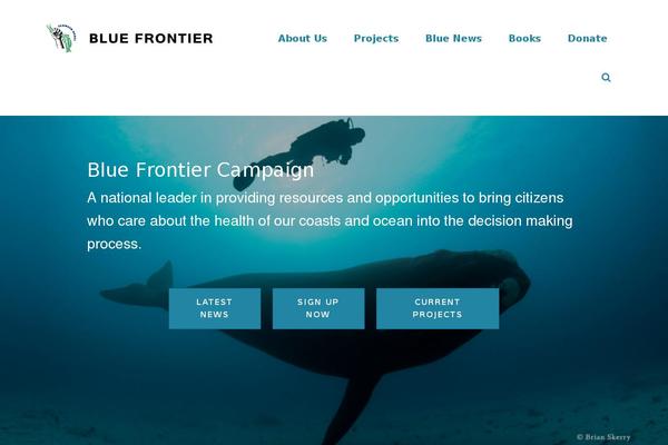 Site using Media Grid plugin