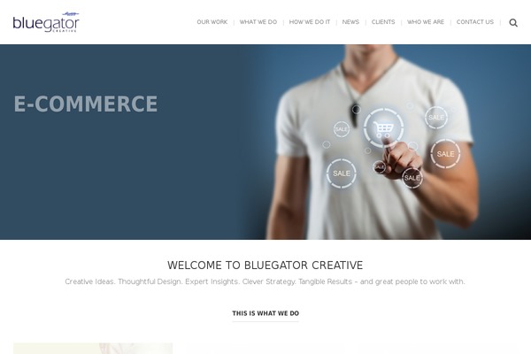 bluegatorcreative.com site used Bouncy-wp