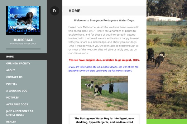 Writr theme site design template sample