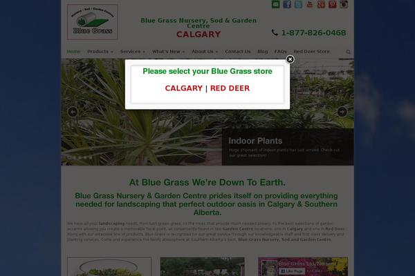 Site using Wp-views plugin
