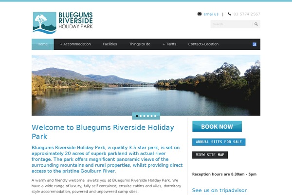 Blue Diamond theme site design template sample
