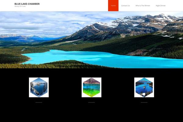 Advertica Lite theme site design template sample