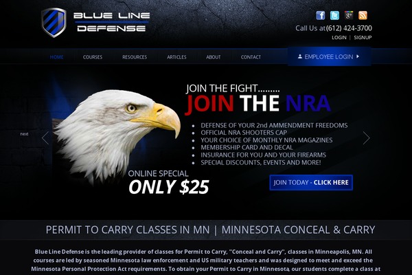 Blueline theme site design template sample